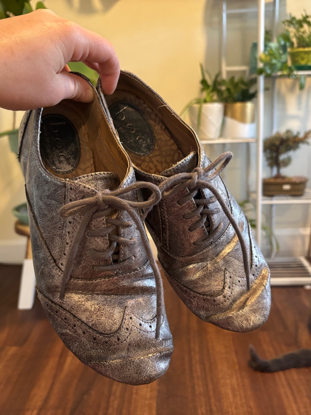 Metallic Bronze Women’s Lace-Up Oxford Shoes